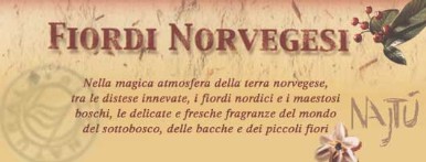 fiordi norvegesi-najtu-karite